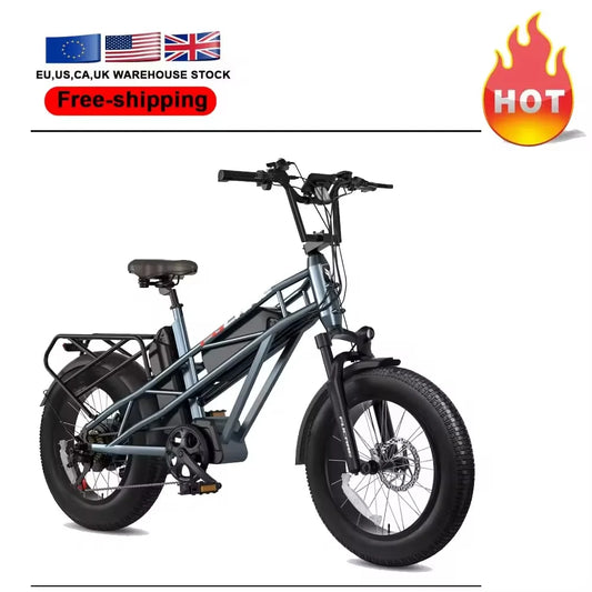 2024 New with 750W 1000W Motor Two Battery 48V 20" Electric Bike for Adults Electric Mountain Bike Electric Fat Tire Bicycles