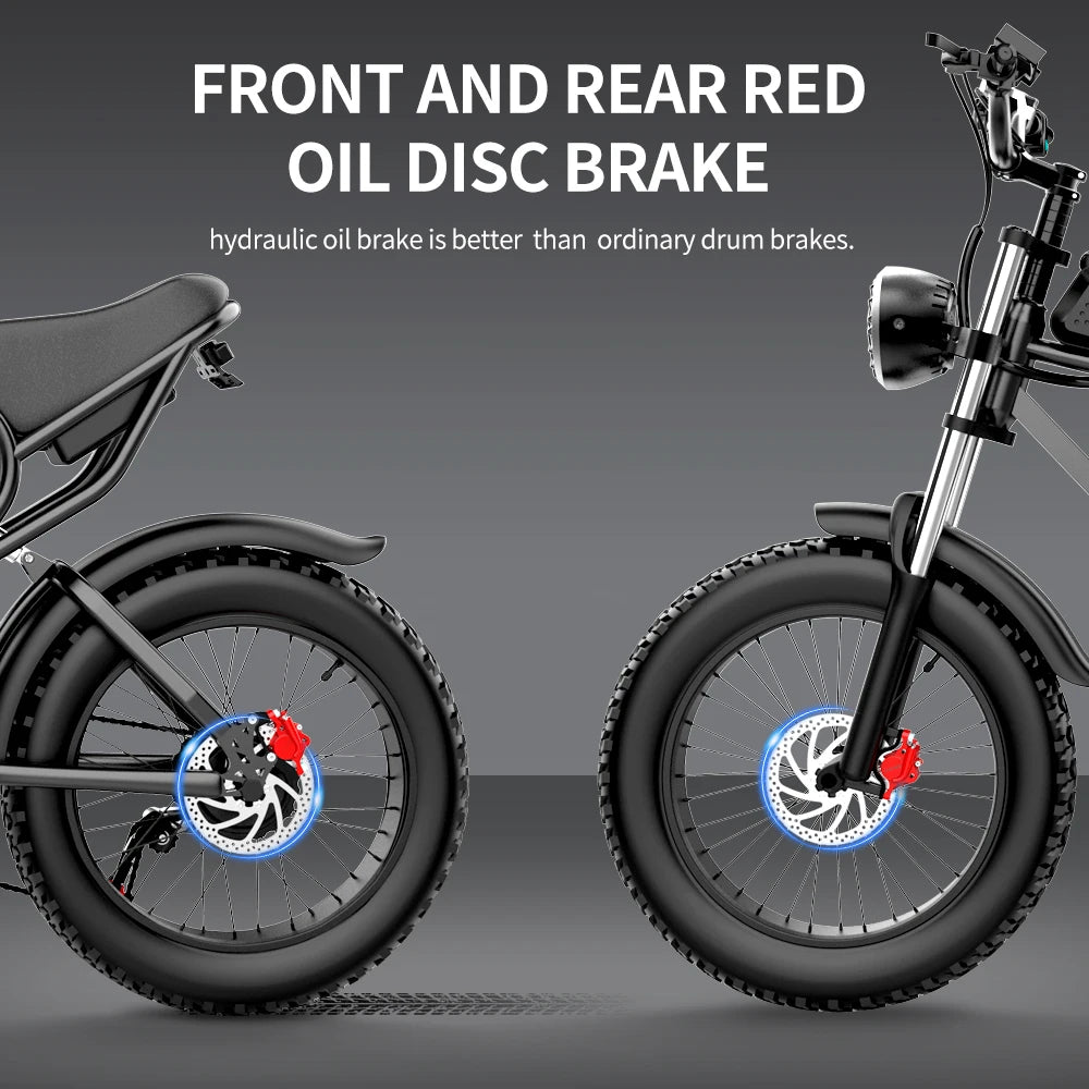 Ridstar Q20 Electric Bike, 1000W Brushless Motor, 20*4 Inch Fat Tires, 48V 20Ah Removable Battery, 30mph Max Speed